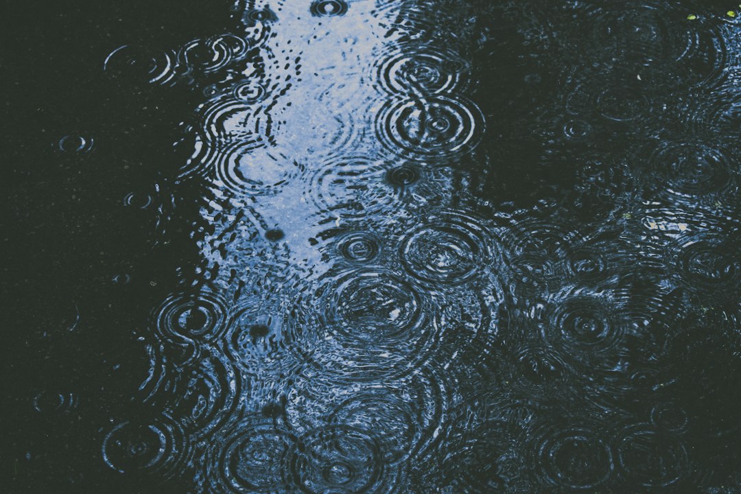 Zit er kalk in regenwater? Dit is wat je moet weten